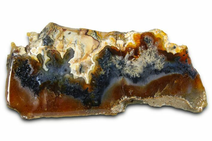 Polished Trent Agate With Stibnite & Realgar - Oregon #378034